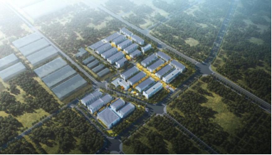 28圈(中国集团)官方网站