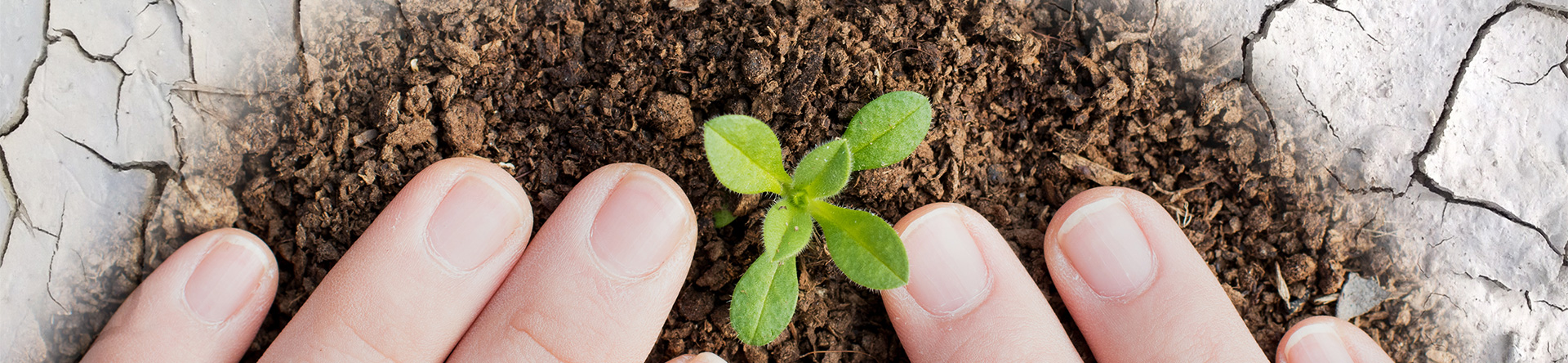 28圈(中国集团)官方网站